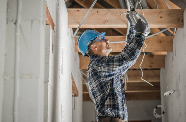 Best Electrical Rewiring Services  in Fruitland, MD