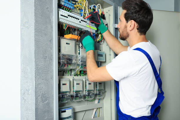 Best Electric Panel Repair  in Fruitland, MD