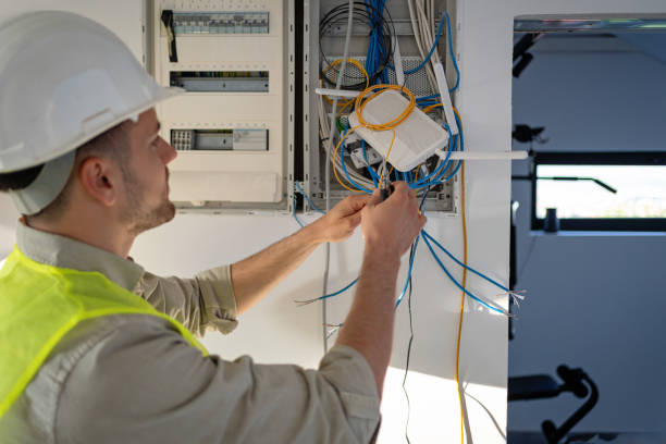 Best Electric Panel Repair  in Fruitland, MD
