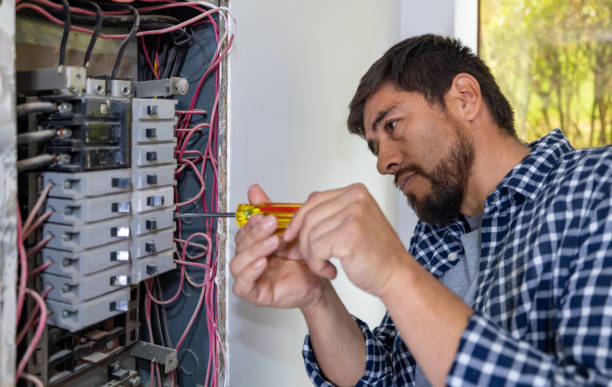 Best 24-Hour Electrician  in Fruitland, MD